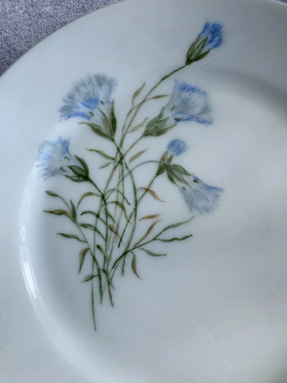 Haviland Limoges Floral Plates – Antique French Porcelain